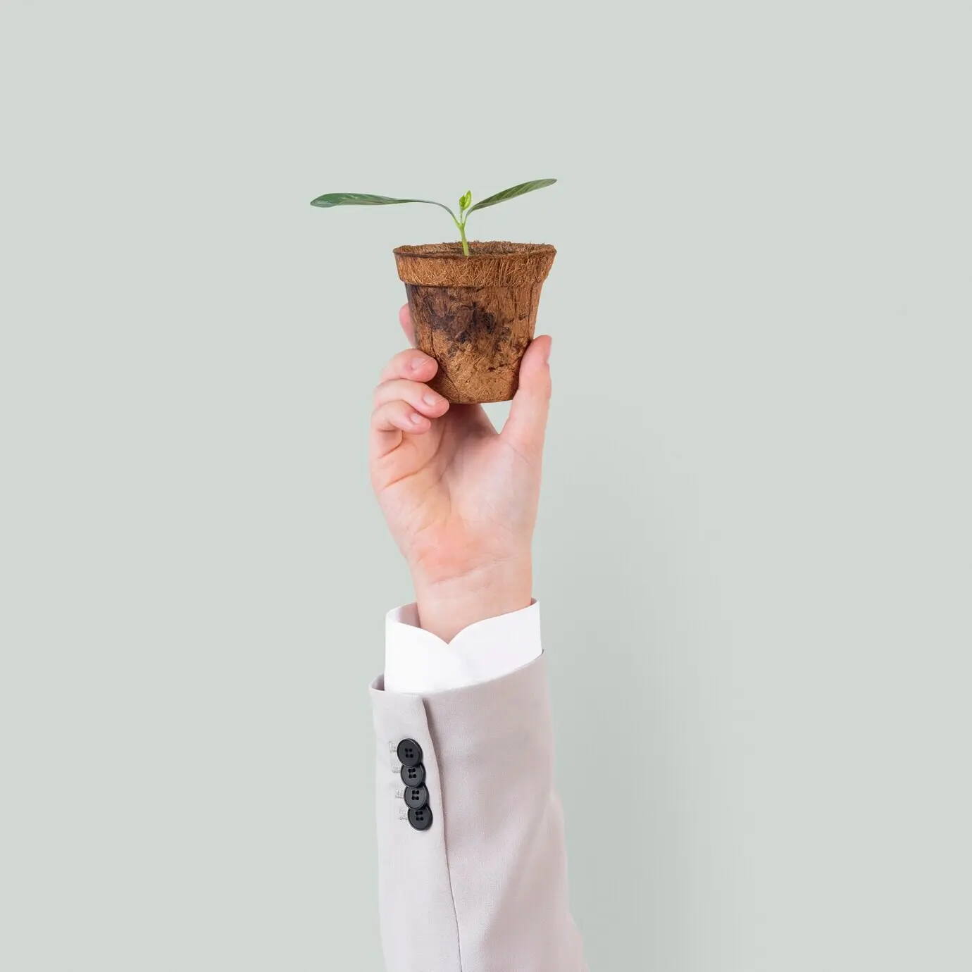 A hand holding a plant for a save-the-environment campaign
